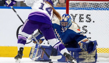 Just what is this Professional Women's Hockey League all about anyway?