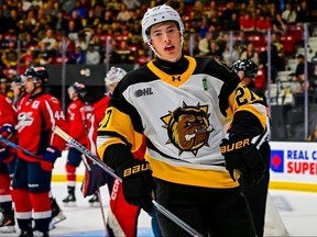 Caleb Malhotra of the Brantford Bulldogs.