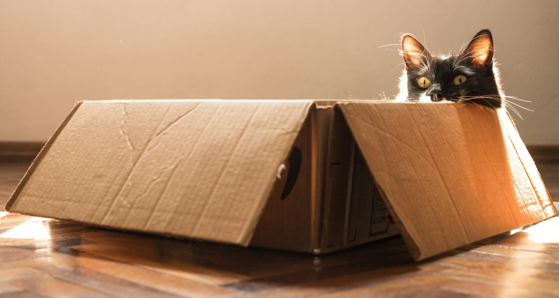 Everyone goes to the penalty box