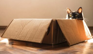 Everyone goes to the penalty box