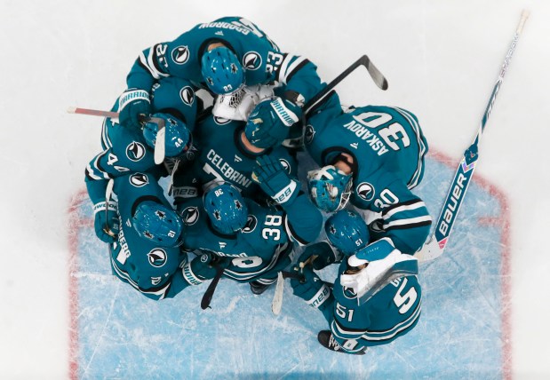 San Jose Sharks' Macklin Celebrini (71) and San Jose Sharks goaltender Yaroslav Askarov (30) celebrate their 4-3 win over the Anaheim Ducks at the SAP Center in San Jose, Calif., on Wednesday, April 1, 2026. (Nhat V. Meyer/Bay Area News Group)