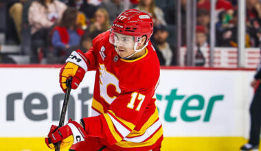 Calgary Flames center Yegor Sharangovich (17).