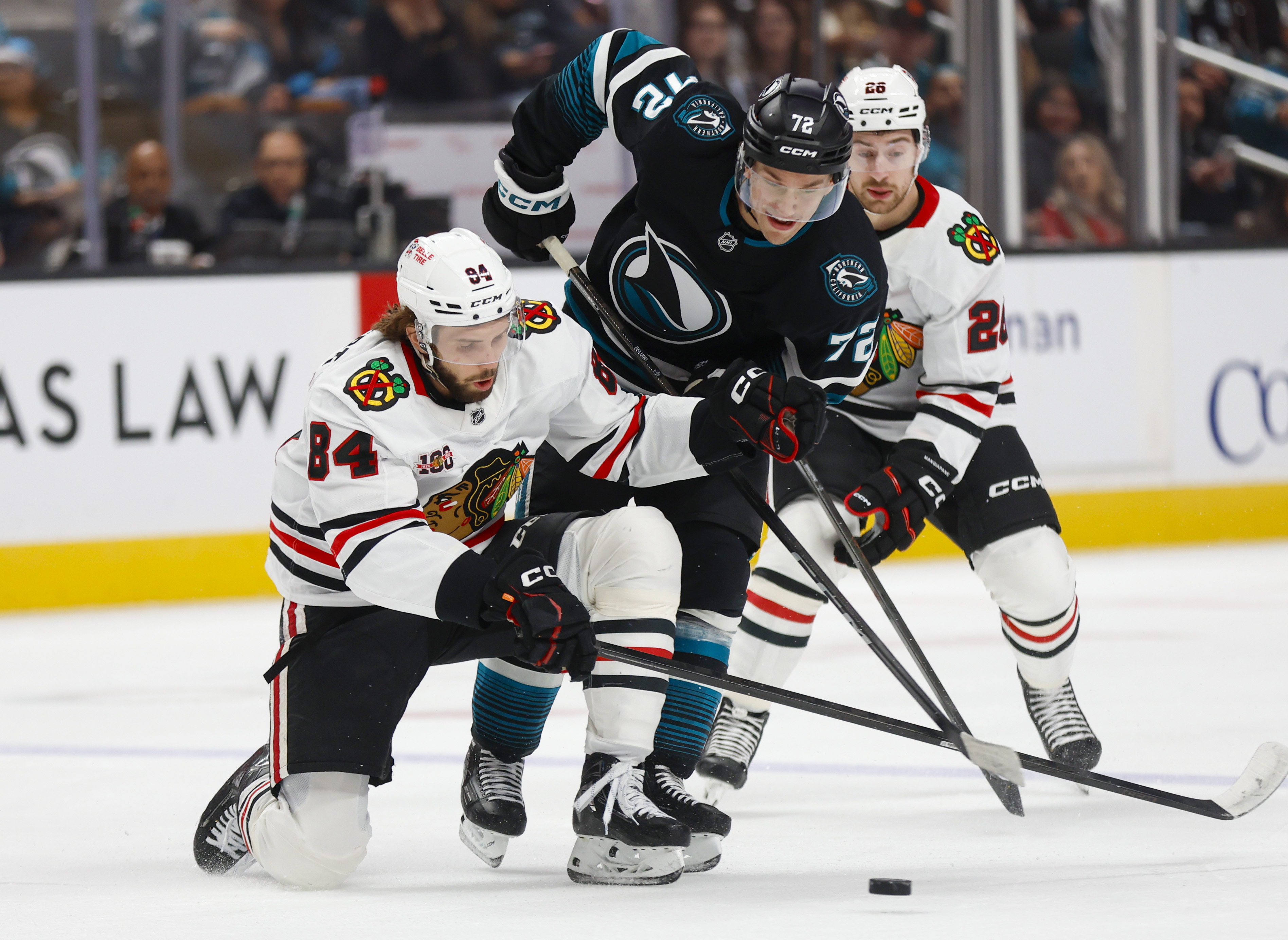San Jose Sharks’ William Eklund (72) fights for the puck...