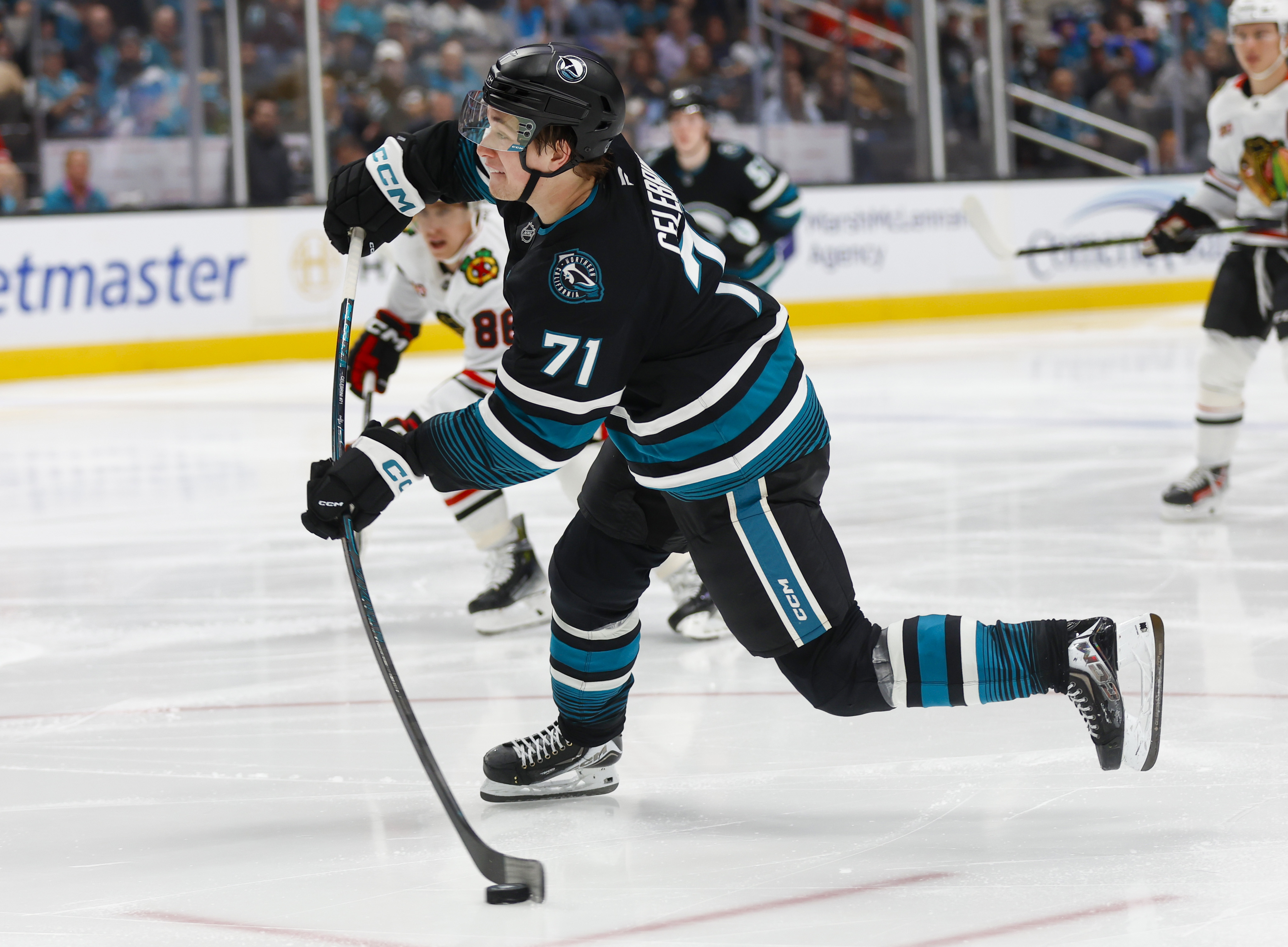 San Jose Sharks’ Macklin Celebrini (71) takes a shot against...