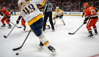 Predators move into playoff position with shut-out win over Ducks