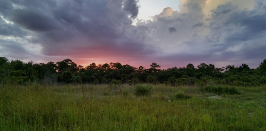 Rural Lands West property in Collier County.