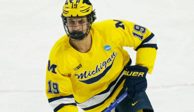 Michigan forward Michael Hage (19) during an NCAA hockey regional game against Minnesota Duluth ...