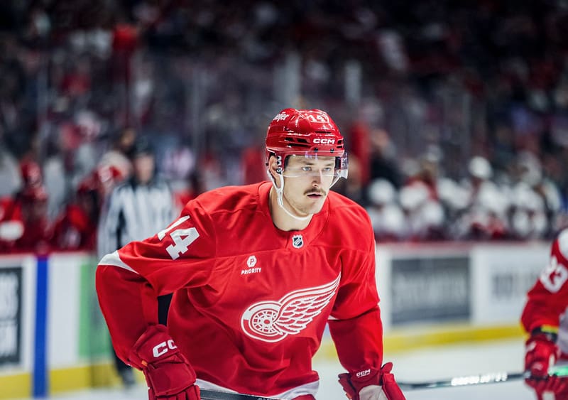 The Daily: Tralmaks Deserves NHL Shot; How Hurt is Larkin?