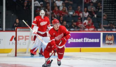 Red Wings To Recall Defenseman / Detroit Hockey Now