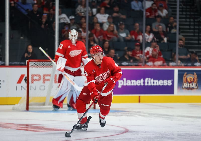 Red Wings To Recall Defenseman / Detroit Hockey Now