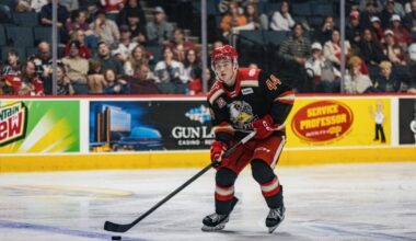 Grand Rapids Griffins | Axel Sandin-Pellikka Recalled by Detroit