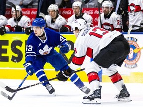 Toronto Marlies forward Luke Haymes (left)