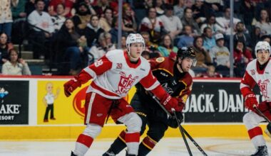 Grand Rapids Griffins | MICHAEL BRANDSEGG-NYGARD Recalled by Detroit