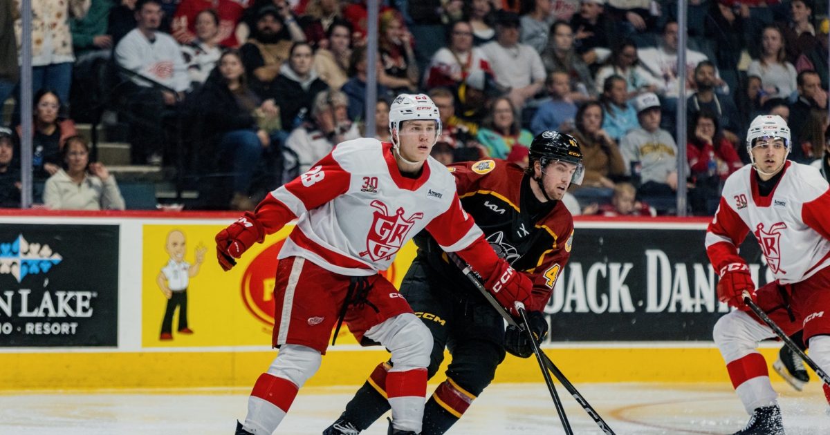 Grand Rapids Griffins | MICHAEL BRANDSEGG-NYGARD Recalled by Detroit