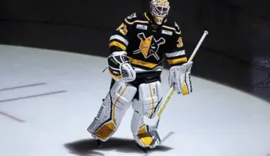 Penguins recall forward goaltender Taylor Gauthier, forward Avery Hayes