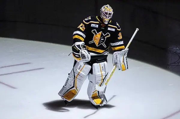Penguins recall forward goaltender Taylor Gauthier, forward Avery Hayes