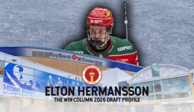 Elton Hermansson 2026 NHL Draft Profile