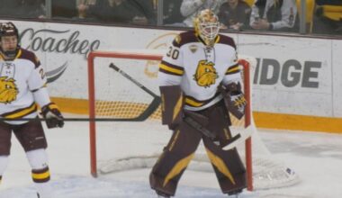 UMD goaltender Adam Gajan making jump to the pros with Chicago Blackhawks | Sports