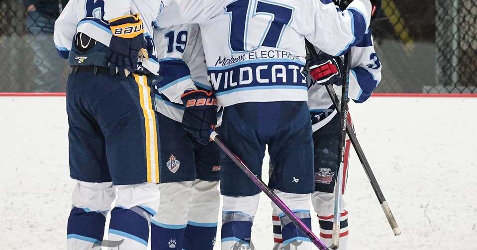Youth Hockey: Wildcats beat Rockets, advance to finals | Sports