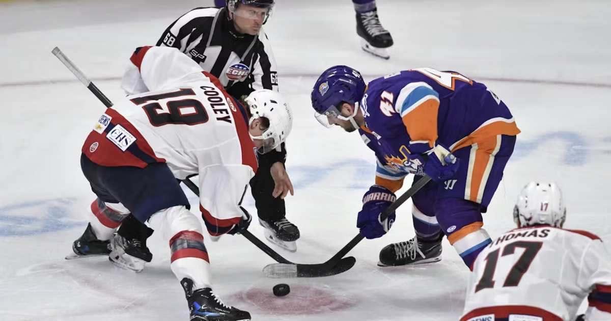 South Carolina Stingrays hockey loses to Orlando Solar Bears