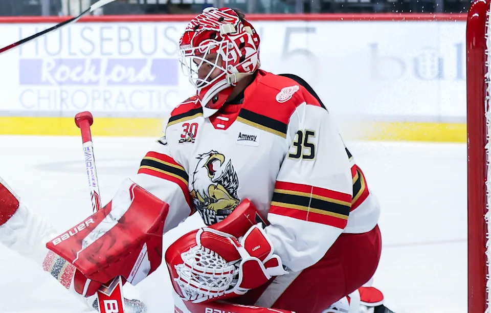 Grand Rapids Griffins goalie Michal Postava made 18 saves in a 5-0 victory over the Rockford IceHogs on Wednesday at the BMO Center in Rockford, Illinois.