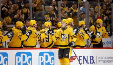 The glue guy: Elmer Soderblom reaching new level with Penguins