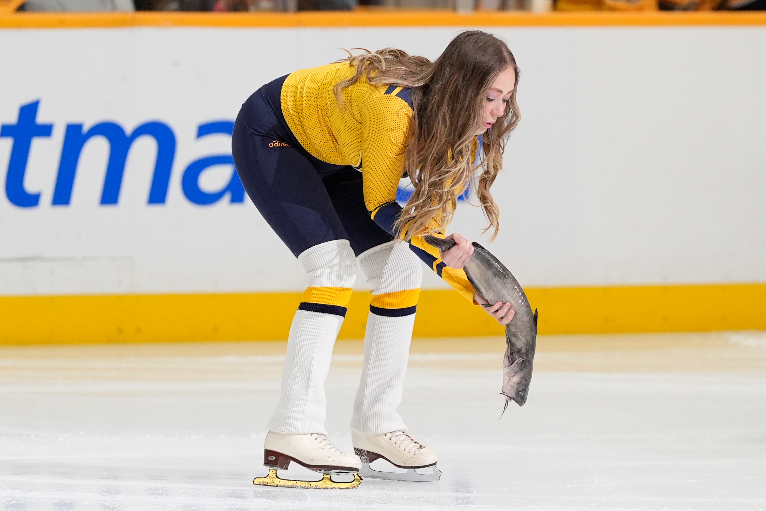 A catfish is removed from the ice before a game...