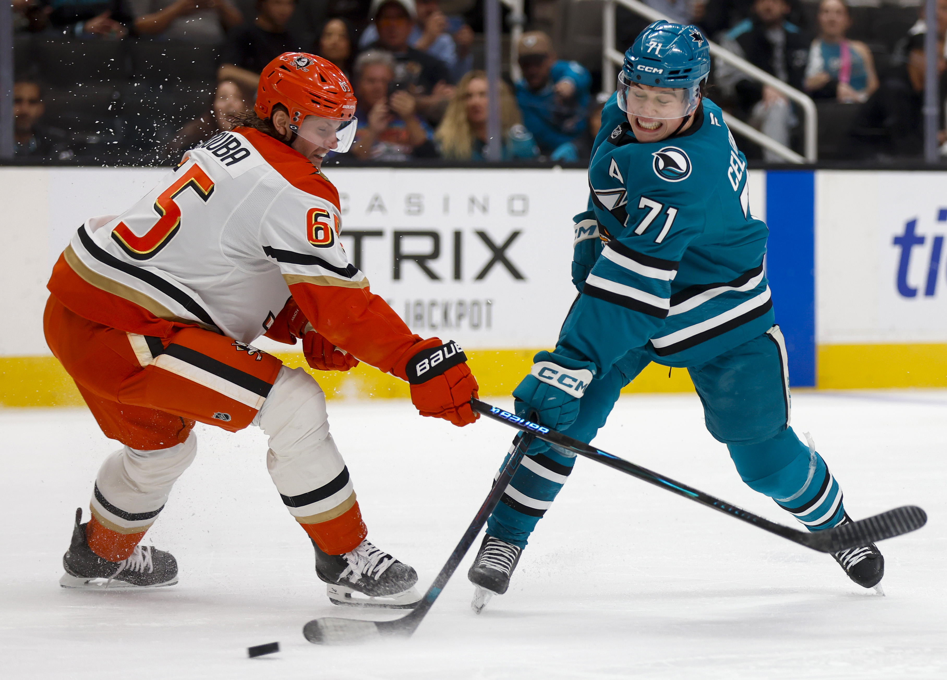 San Jose Sharks' Macklin Celebrini (71) takes a shot against...