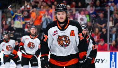 3 Canadiens Prospects Rising When It Matters Most in the Playoffs - The Hockey Writers - Montreal Canadiens