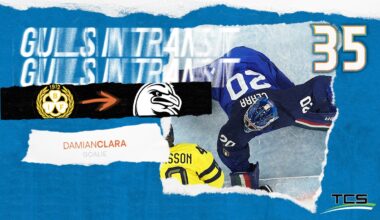 Anaheim Ducks Assign Clara and Pettersson to San Diego