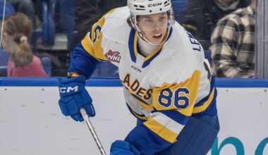 David Lewandowski Saskatoon Blades
