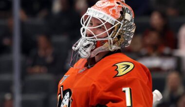 Anaheim Ducks’ Lukáš Dostál ready for the moment in Stanley Cup playoffs: ‘He’s a gamer’