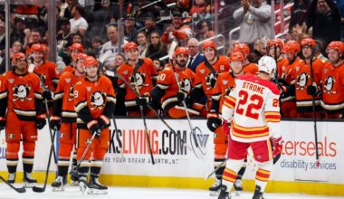 How Ryan Strome sold the Anaheim Ducks as a destination team by helping it become one