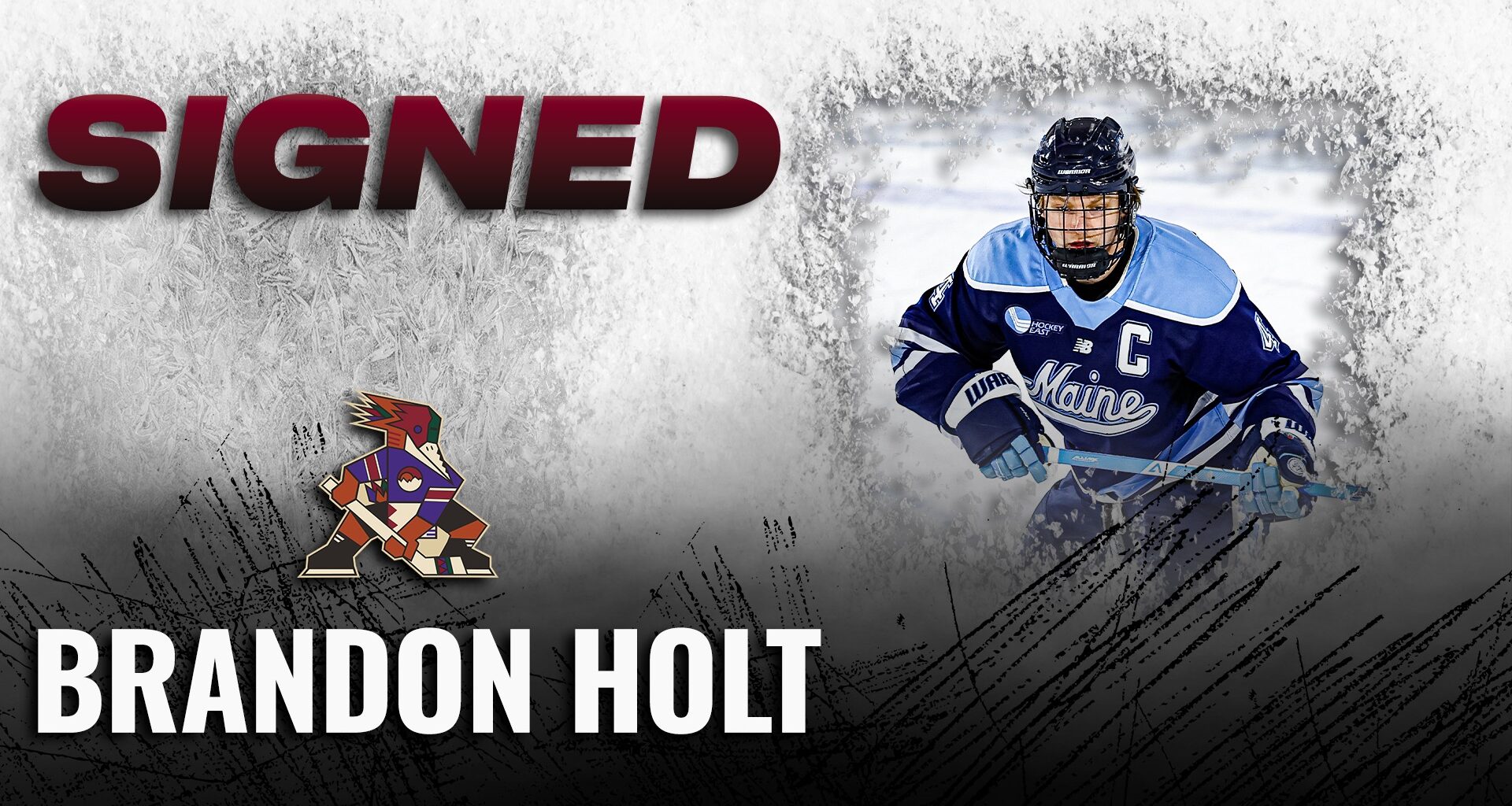 Tucson Roadrunners Hockey