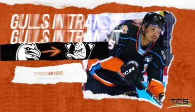 Anaheim Ducks Recall Tyson Hinds From San Diego