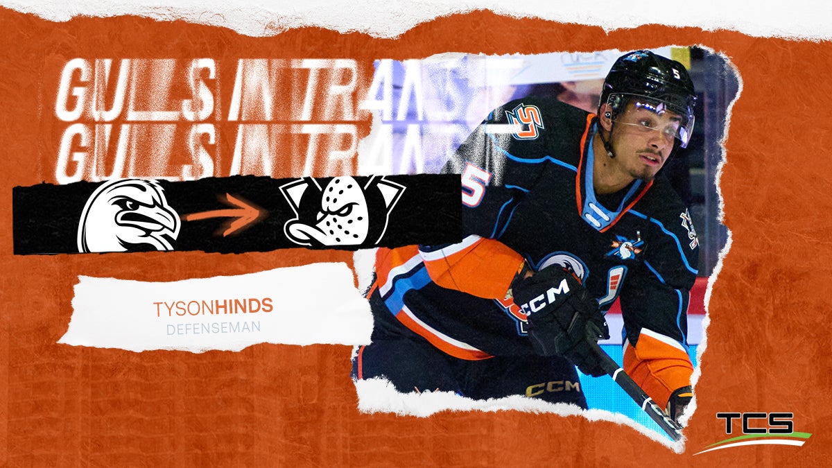 Anaheim Ducks Recall Tyson Hinds From San Diego
