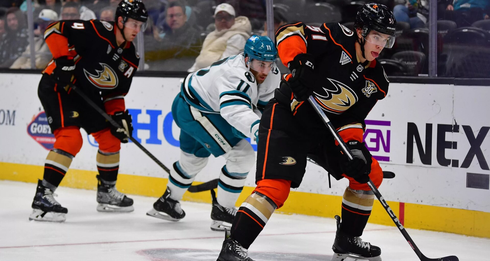 Ducks and Sharks Dueling it out on the West Coast