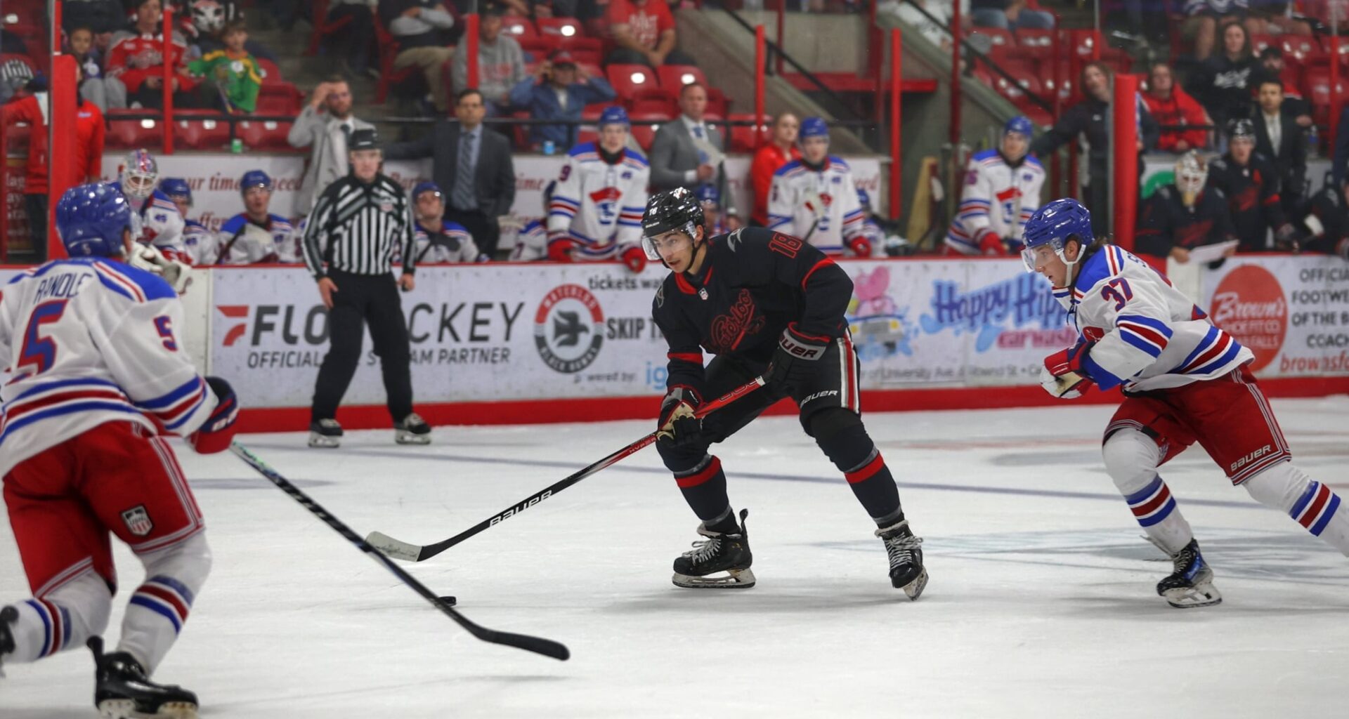 Jimmy Rieber Waterloo Black Hawks