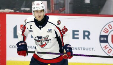 Playoff success; spotty goalie depth; 2026 Draft options