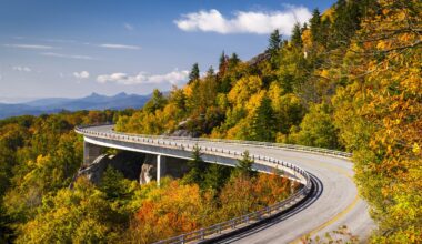 Hurricanes Capitals Hockey | The North State Journal