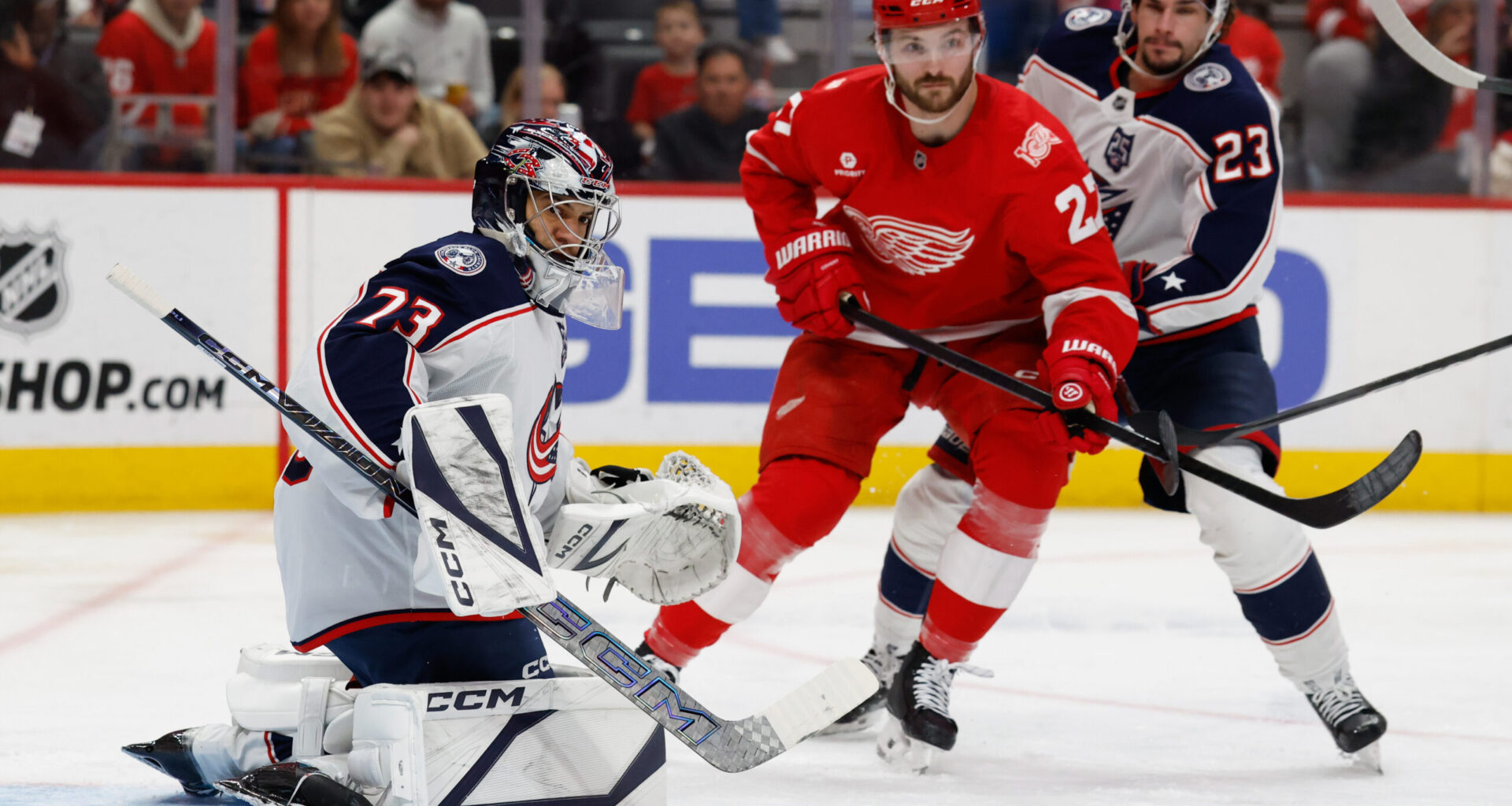 Red Wings Rasmussen Done For Season