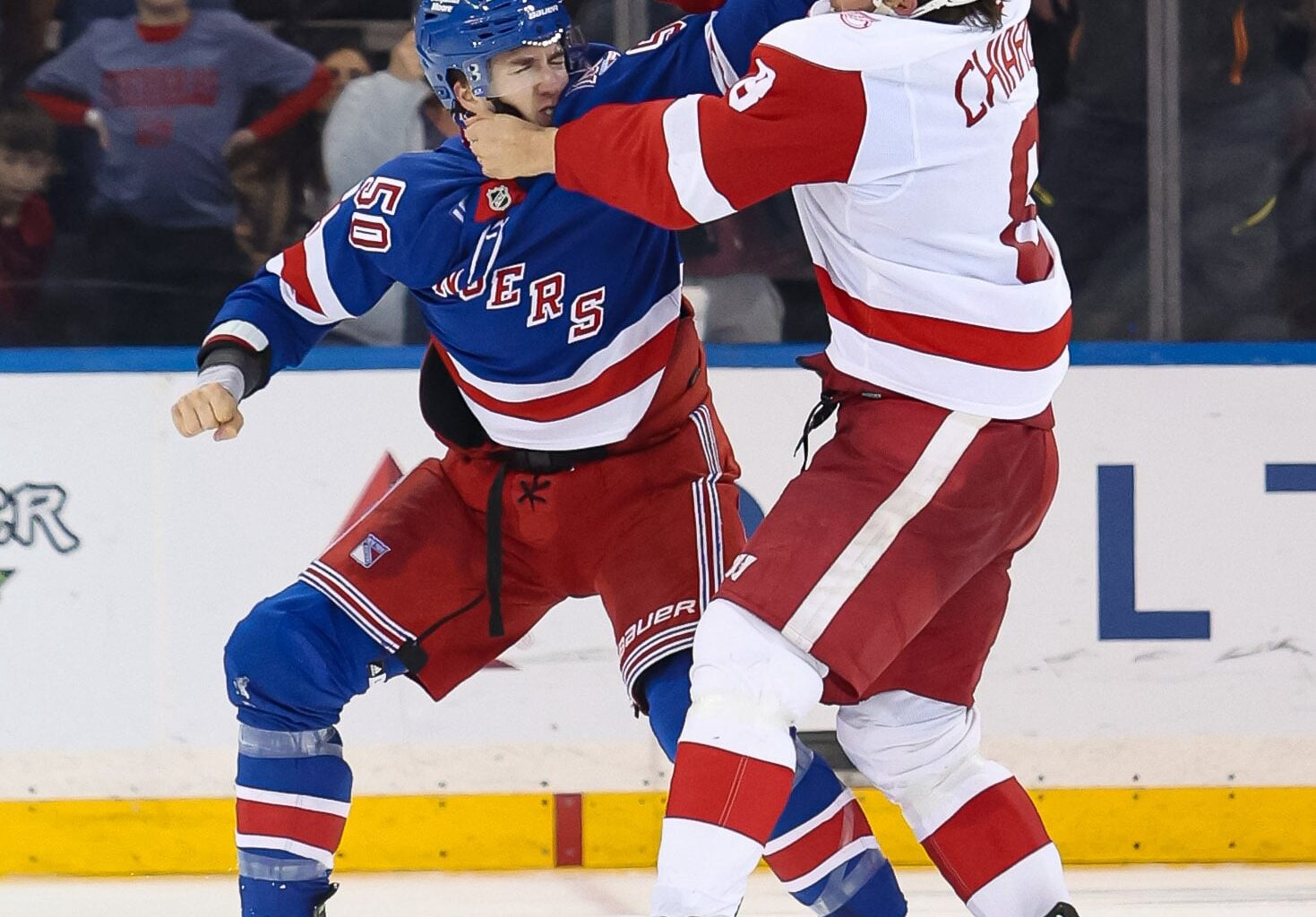 Red Wings D is Set for Next NHL Season...Maybe