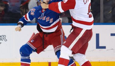 Red Wings D is Set for Next NHL Season...Maybe