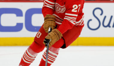 Red Wings Report Card: Who Stays, Who Goes, And Who They'd Like to be Gone