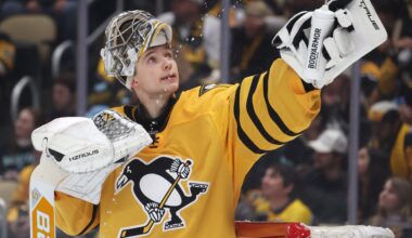 There It Is: Penguins Recall Murashov