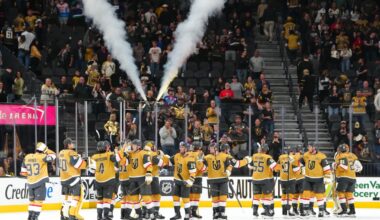 Where Do the Golden Knights Stand?