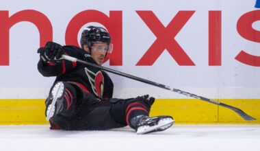 Sens Shut Down by Wild