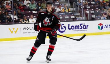 Ryan Roobroeck Niagara IceDogs
