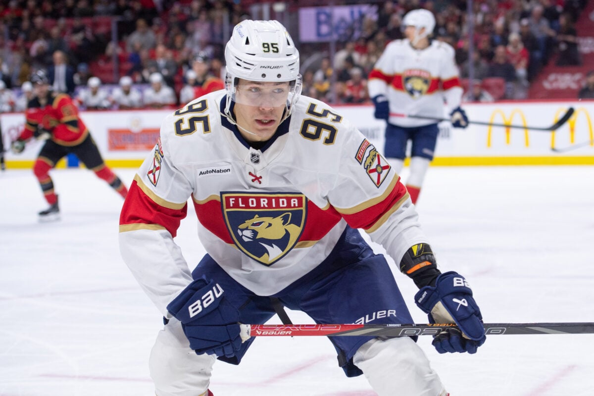 Florida Panthers left wing Sandis Vilmanis
