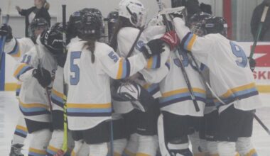 HS NOTES: Nashua hockey co-ops worked well; BG meeting now May 7 | News, Sports, Jobs